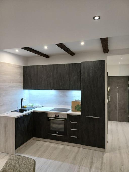 Apartman Ena Radiceva Zagreb Buitenkant foto